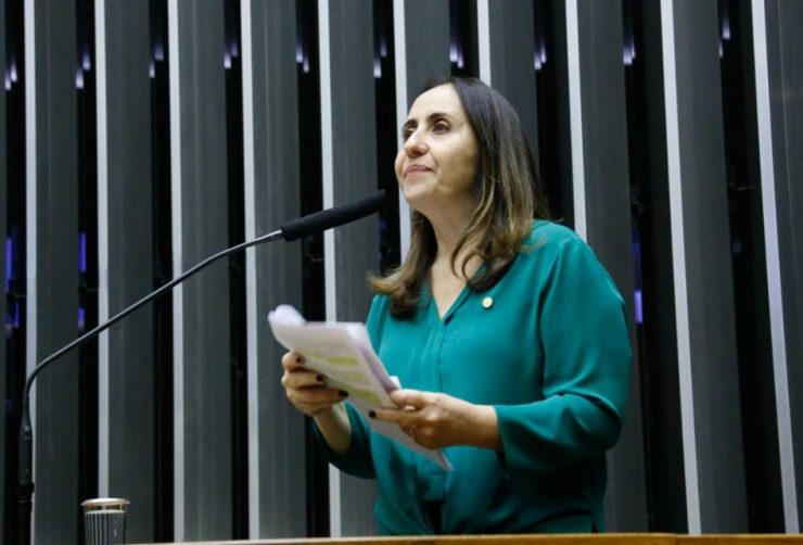 Deputada Adriana Ventura discursão sobre Carona Solidária