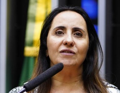 Adriana Ventura (Novo-SP) e os outros deputados da bancada do Novo na Câmara dos Deputados protocolaram o Projeto de Lei (PL) 500/2024.