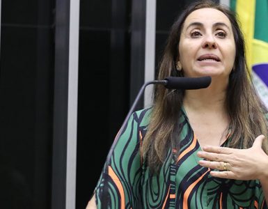 projetos de lei apresentados pela deputada Adriana Ventura para ajudar a regulamentação da reforma tributária - a melhor deputada do Brasil