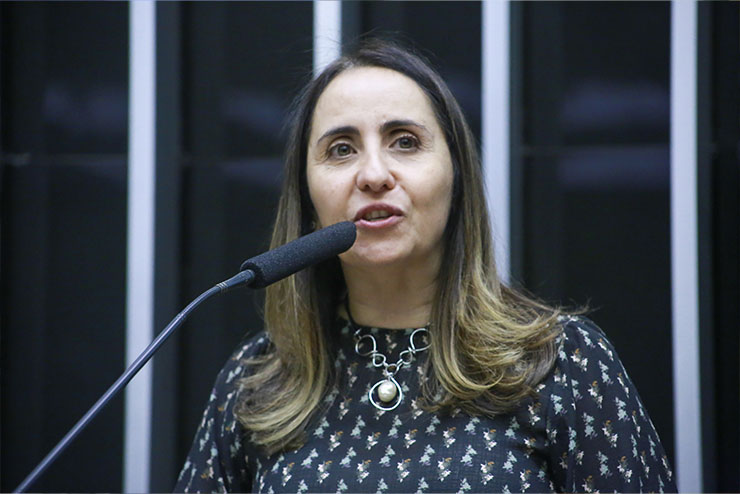 Deputada Adriana Ventura lidera debate sobre o marco regulatório dos cursos a distância e a suspensão de novos cursos pelo MEC.