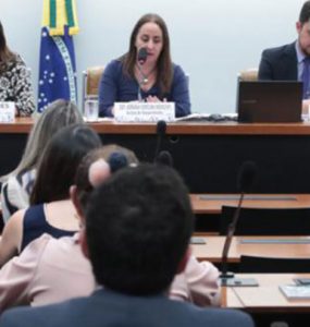 Deputada Adriana Ventura conduz audiências sobre prescrição eletrônica e padrões de educação.