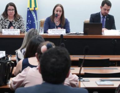 Deputada Adriana Ventura conduz audiências sobre prescrição eletrônica e padrões de educação.