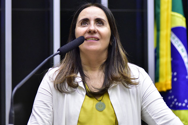 Deputada Adriana Ventura apresenta requerimentos sobre criação de impostos e atuação da ANTT.