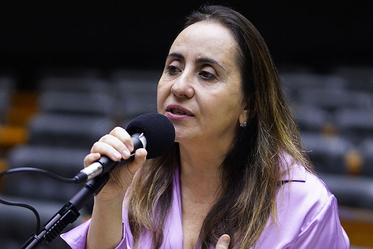 Deputada Adriana Ventura conduz audiência sobre avaliações internacionais na educação brasileira.