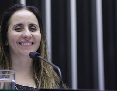 Deputada Adriana Ventura denuncia na Câmara o confisco ilegal de valores esquecidos em contas bancárias dos brasileiros.