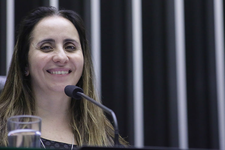 Deputada Adriana Ventura denuncia na Câmara o confisco ilegal de valores esquecidos em contas bancárias dos brasileiros.