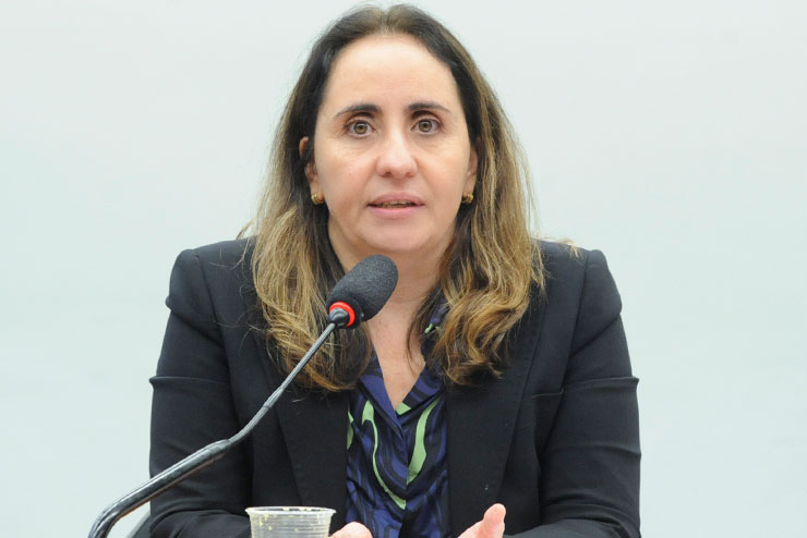 Deputada Adriana Ventura conduz audiência pública sobre a suspensão de cursos EaD pelo MEC e seus impactos na educação superior privada.