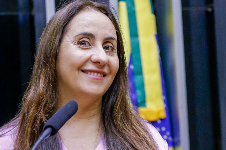 Adriana Ventura aprova requerimentos para debater o Sistema Nacional de Educação, promovendo discussões sobre governança, financiamento e autonomia.