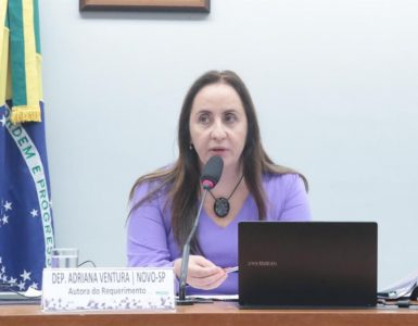 Deputada Adriana Ventura presidindo audiência sobre o Sistema Nacional de Educação