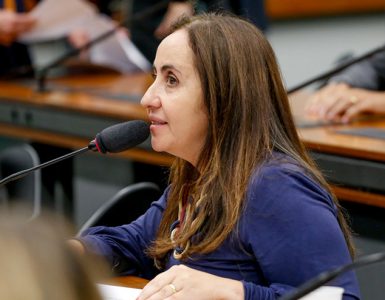 Deputada Adriana Ventura apresentando projetos de lei contra queimadas ilegais